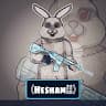 Hesham