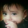 wael