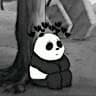 Bodhi : TM