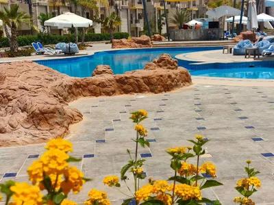 توين هاوس للبيع في سيسليا لاجونز