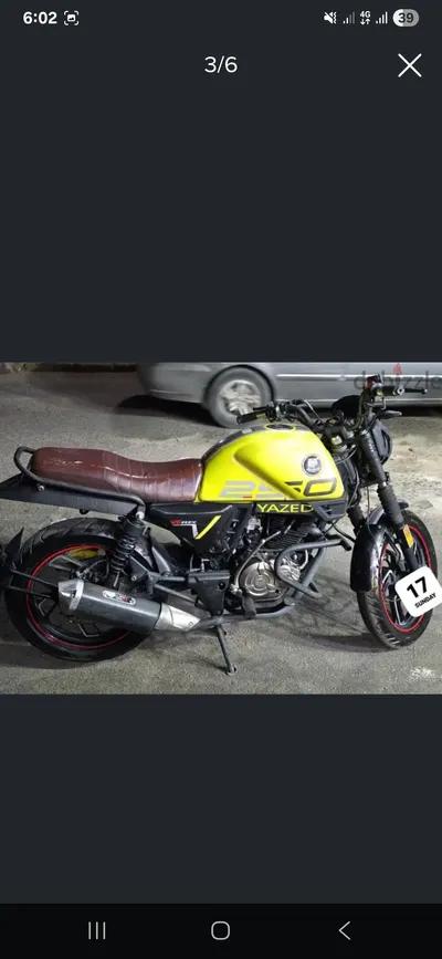 فيجوري في ار 2022