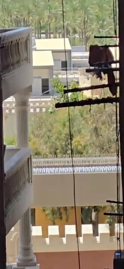 شقة للبيع في المنتزه