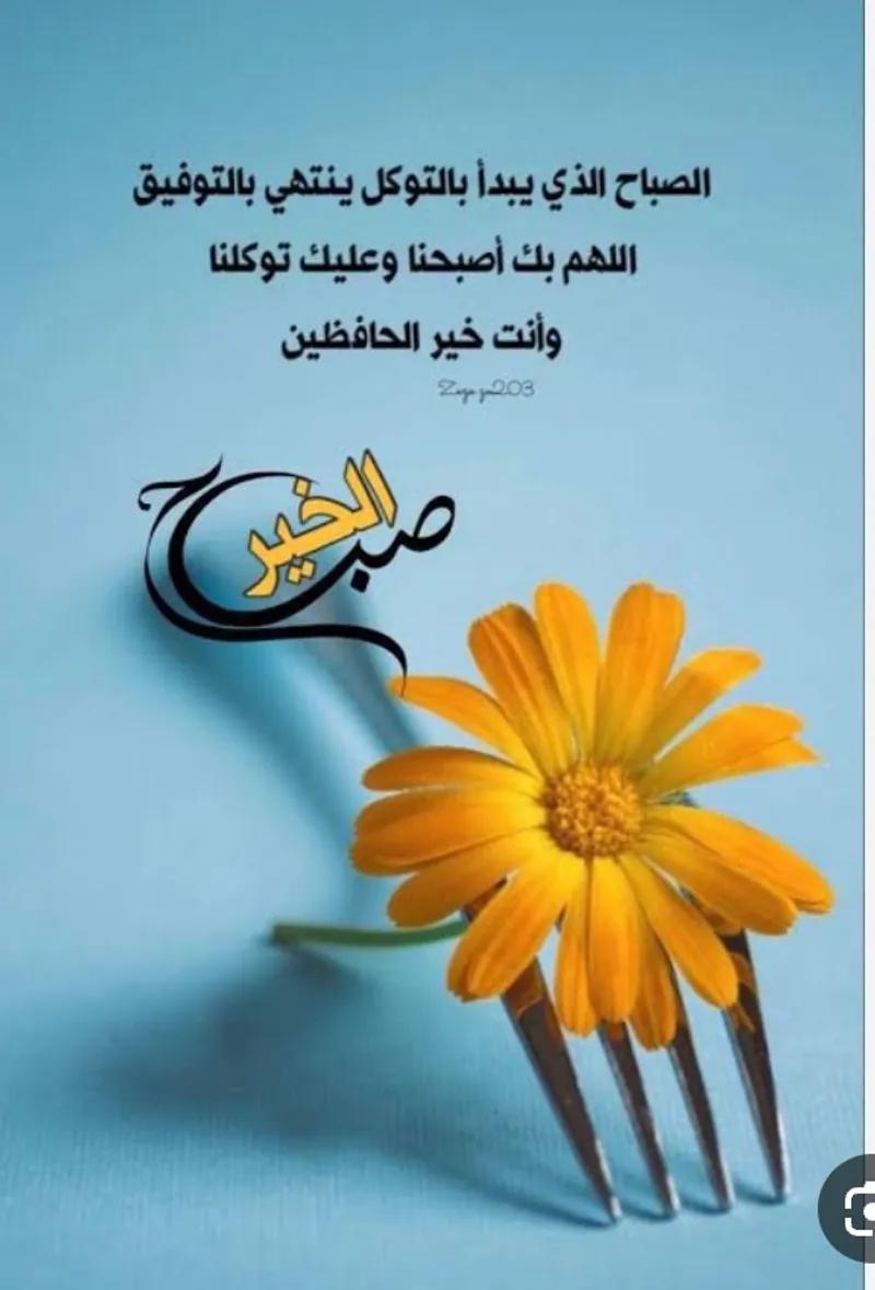 ارض للبيع 540 متر تقسيم النور بالغردقه