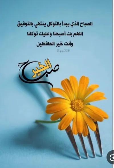 أرض سكنية للبيع في الغردقة