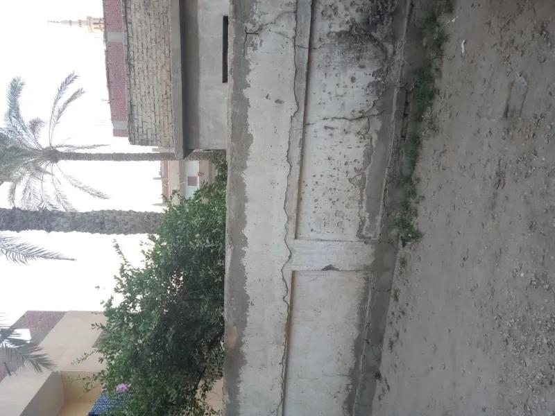 لهواة الفيو والهواء النقي والخضره