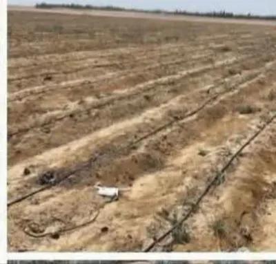 ارض زراعيه للبيع