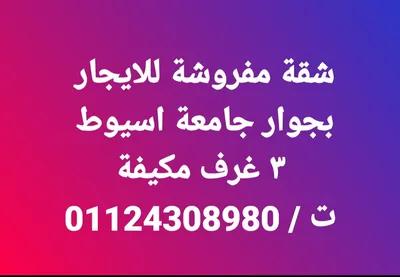 شقه مفروشه للايجار بجوار جامعه اسيوط مباشرة