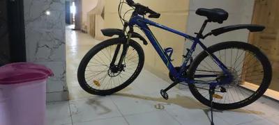 دراجه فونكس للبيع في عجمي, الإسكندرية - 6,500 EGP