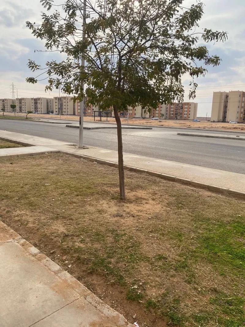 شقه للبيع بالعاشر من رمضان