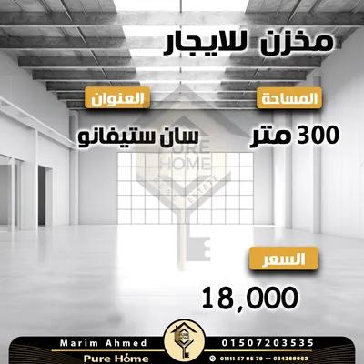 مخزن للايجار 300 م - سان ستيفانو