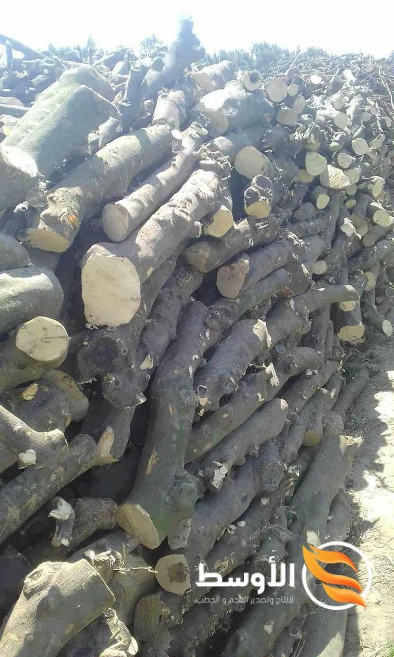 حطب البرتقال للتصدير , حطب شواء