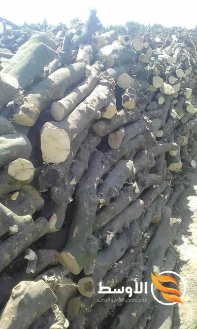 حطب البرتقال للتصدير , حطب شواء في مدينة الإسماعيلية, الإسماعيلية - 10,000 EGP