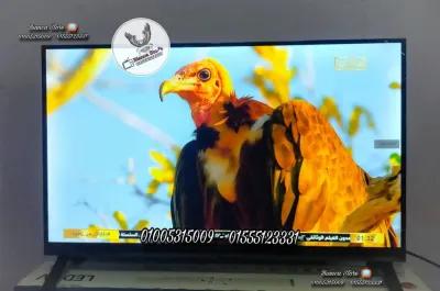 شاشة تلفزيون 32 بوصة سينكس فريمليس ICast رسيفر داخلي Syinix في النزهة الجديدة, القاهرة - 4,700 EGP