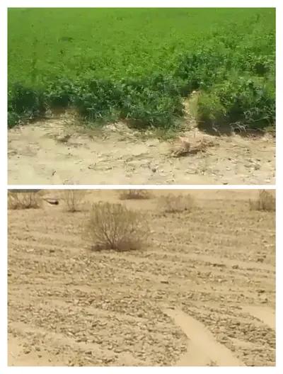 تم نزول السعر لسرعه البيع