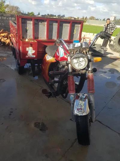 حلاوه تايجر 2019