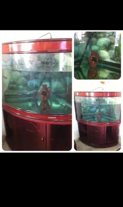 حوض سمك بوجه بانوراما في حلوان, القاهرة - 15,000 EGP