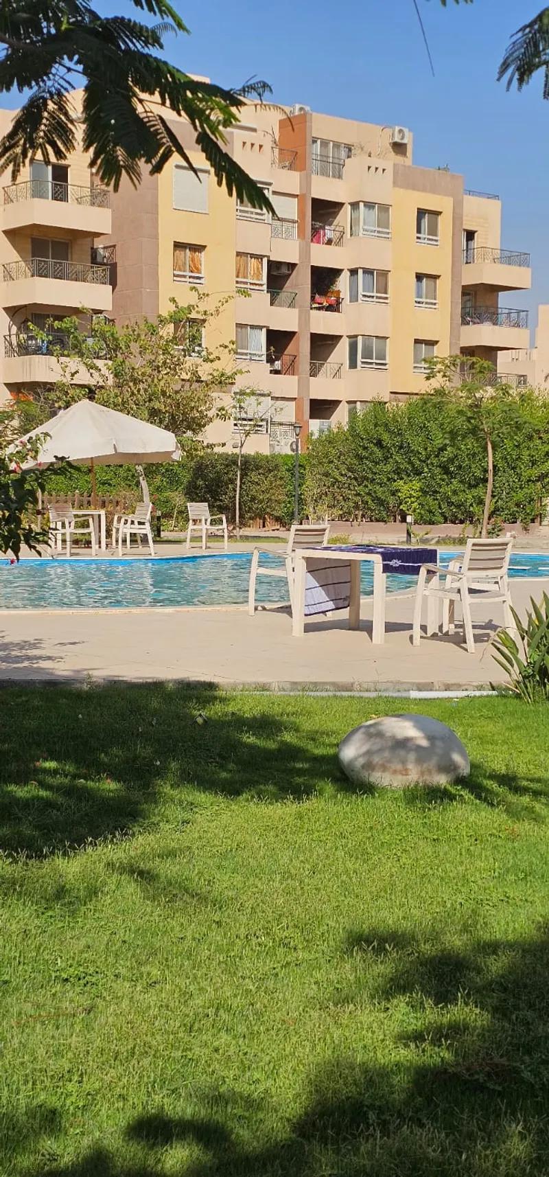 شقه مميزه للبيع _ الشيخ زايد