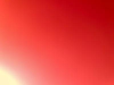 شقة للبيع في دار مصر