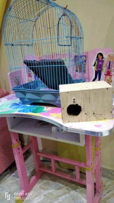 قفص عصافير كبير بالعش جرار شنطة مكتب بناتي في شبرا, القاهرة - 800 EGP