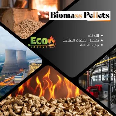 الوود بيليت في المعادي, القاهرة - 100 EGP