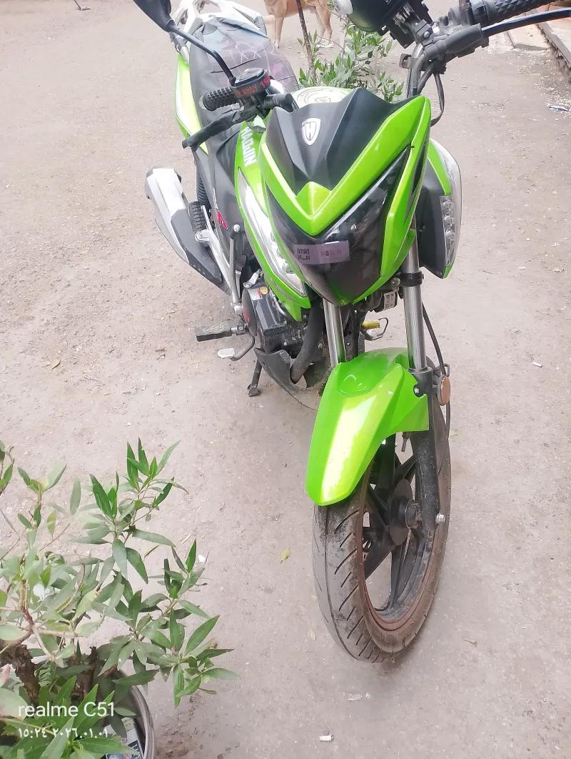 هوجان تريوس للبيع موديل 2025