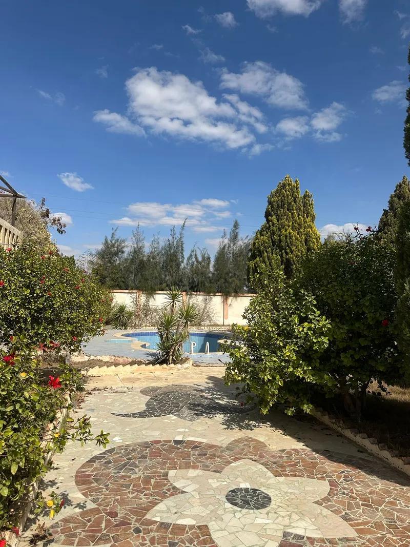 أرض نشاط صناعي رخصة مصنع مياه معدنية