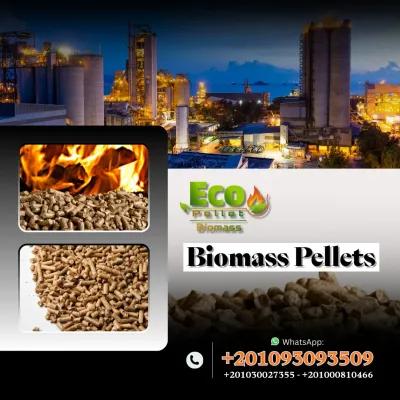 الوود بيليت في المعادي, القاهرة - 100 EGP