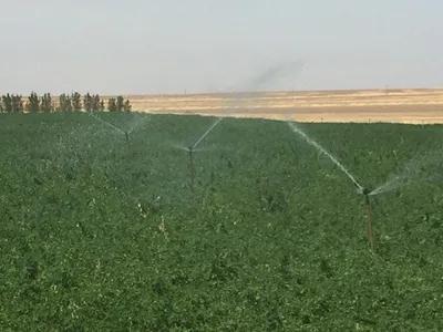 للبيع اراضي زراعيةغرب المنيا 5فدان بجوار كمين العدوه مدينة