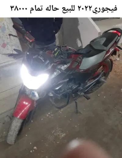 فيجوري اخري 2022