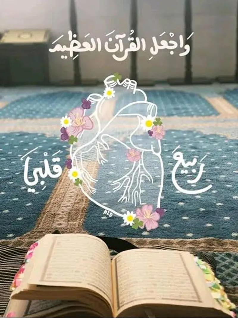 شقق تمليك والايجار بالمعادي