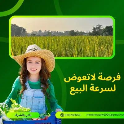 أرض سكنية للبيع في كفر الدوار