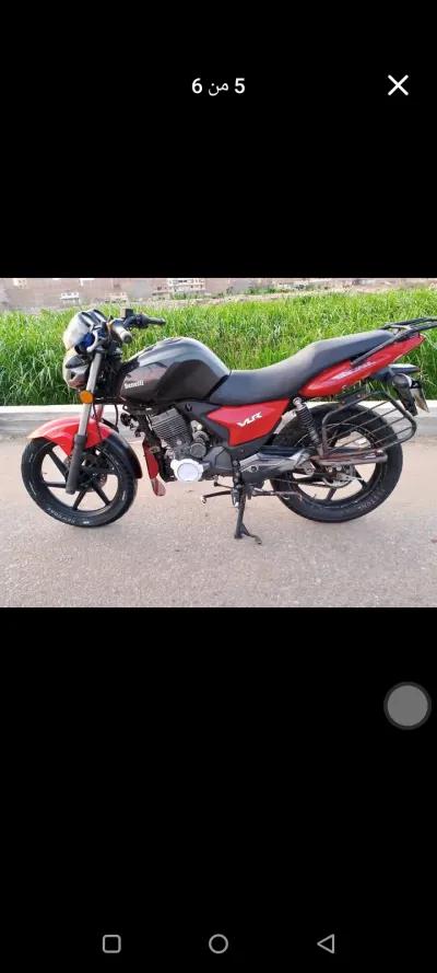 بينيلي في ال ار 2018