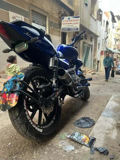 فيجوري في ال ام 2022