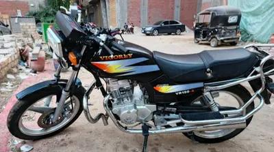 فيجوري في ار 2025