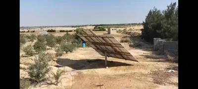 مزرعة زيتون ١٥ فدان للبيع في وادي النطرون عمره ٥ سنوات في البحيرة, وادي النطرون - 470,000 جنيه