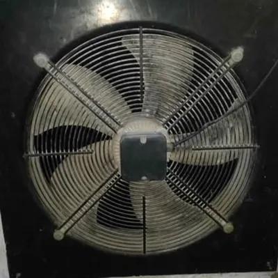 شفاط 55 Cm في الإسكندرية, جليم - 1,800 جنيه