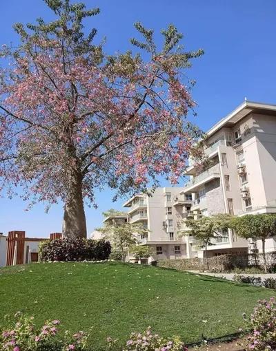 شقة استلام_فوري، للبيع في التجمع_الخامس،🏡📍 في القاهرة, القاهرة الجديدة, كمبوند القاهرة الجديدة, ماونتن فيو اى سيتي - 1,670,000 جنيه