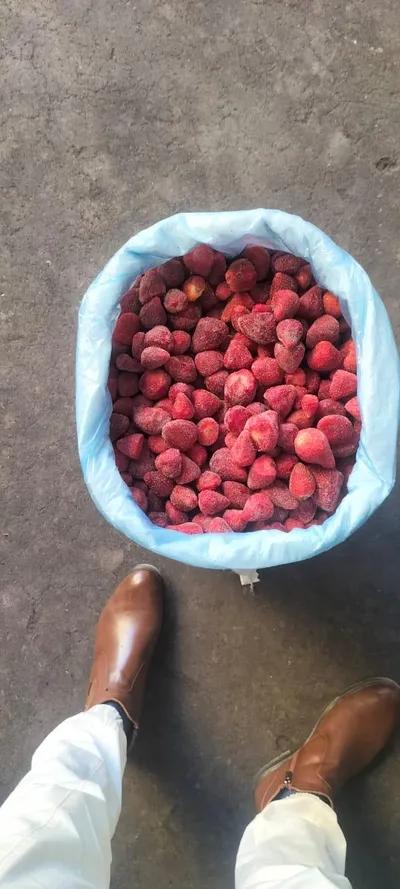 شركة الاتحاد للإستيراد والتصدير ثقه وجوده وامان في القاهرة, جسر السويس - 0 جنيه