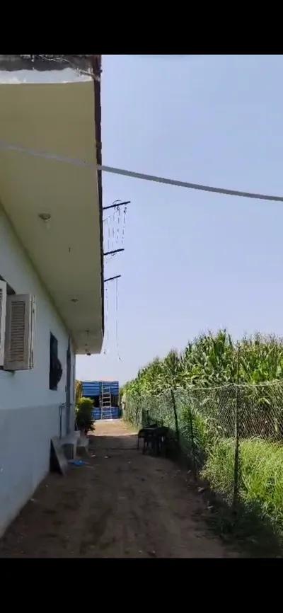 منزل و صوبة دواجن مجهزه in Monufia, Ashmon - 5,000,000 EGP