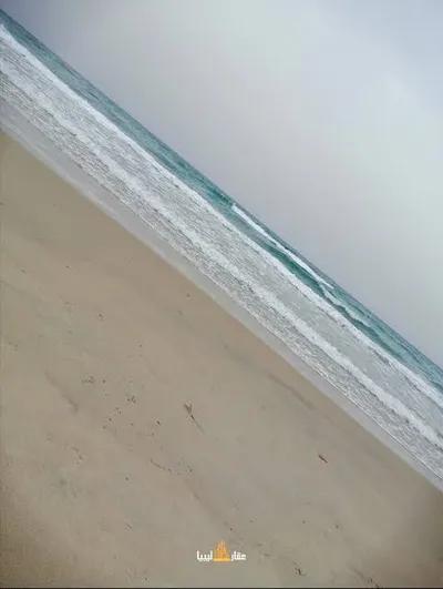 للبيع ١٢١فدان مرسى علم في البحر الأحمر, مرسى علم - 33,000,000 جنيه