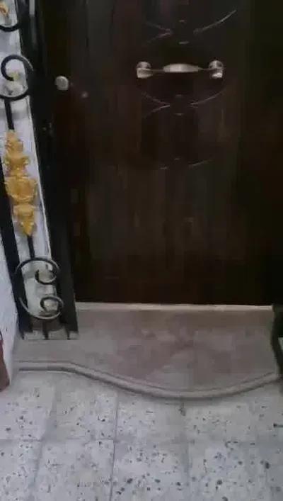 شقة ب الشيخ زايد في القاهرة, وسط القاهرة - 3,000,000 جنيه