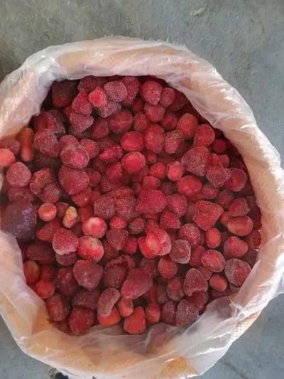 فراوله درجه ثانيه محلل محسن في المنوفية, السادات - 39 جنيه