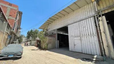 هنجر ٦٠٠ متر المحله الكبري في الغربية, المحلة الكبرى - 1,250,000 جنيه