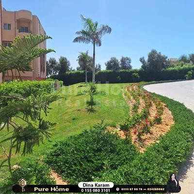 شالية للبيع - قرية سيرينا في مطروح, الساحل الشمالي, العلمين - 1,500,000 جنيه