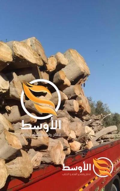 حطب الزيتون مشاوي للتصدير , حطب تصدير in الإسماعيلية, مدينة الإسماعيلية - 10,000 جنيه