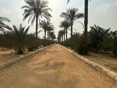 مزرعه +فيلا  in Cairo, Obour City - 75,000,000 EGP