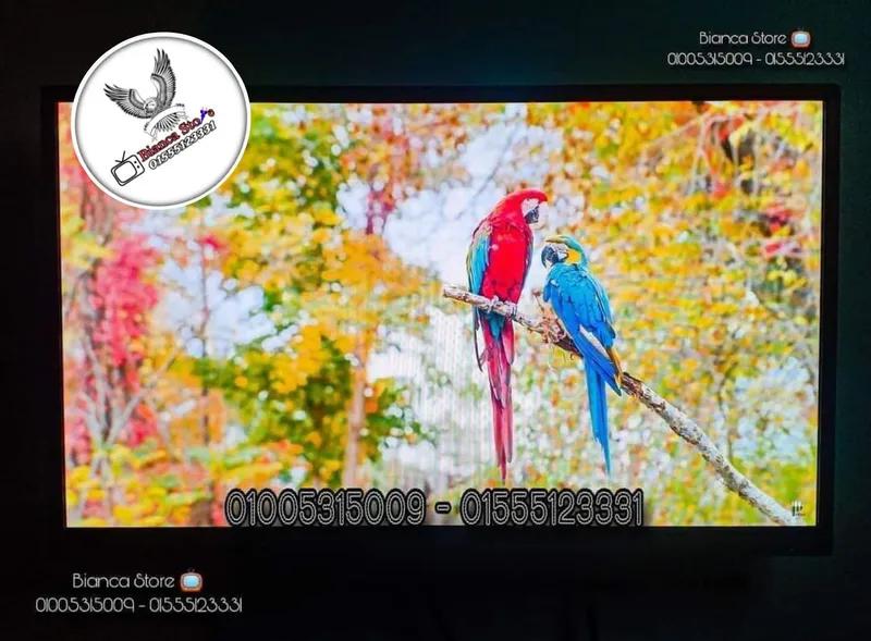 شاشة للبيع 24 بوصة LED FHD IPS سماعات داخلية بالكرتونة و الضمان