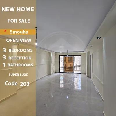 شقه 165م للايجار بسموحه في الإسكندرية, سموحة - 25,000 جنيه