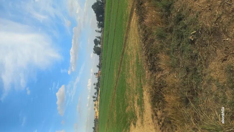 أرض زراعية للبيع مساحة 8 فدان في الإسكندرية ك48 طريق