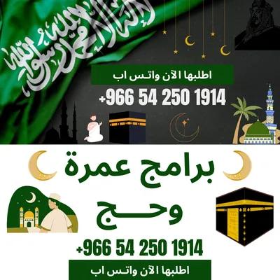 تأشيرات حج و عمره في الإسكندرية, برج العرب - 100 جنيه